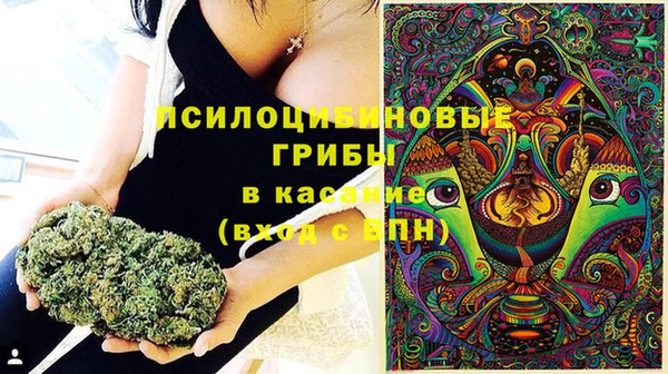 ПСИЛОЦИБИНОВЫЕ ГРИБЫ Балахна