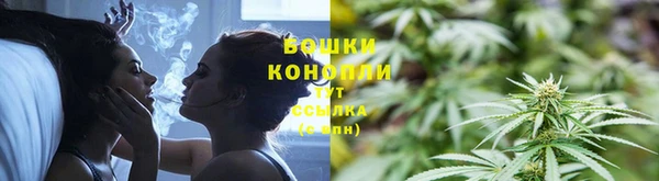 ПСИЛОЦИБИНОВЫЕ ГРИБЫ Балахна