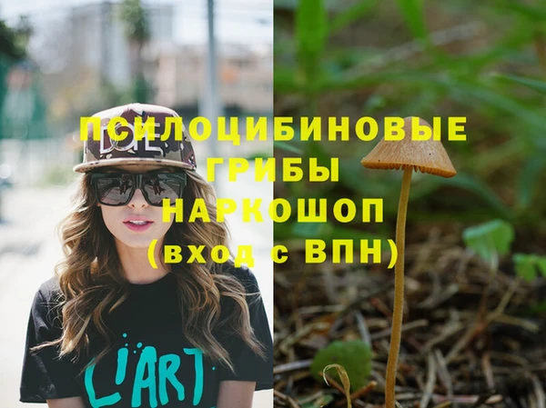 альфа пвп Белокуриха
